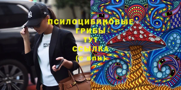 СК Балахна