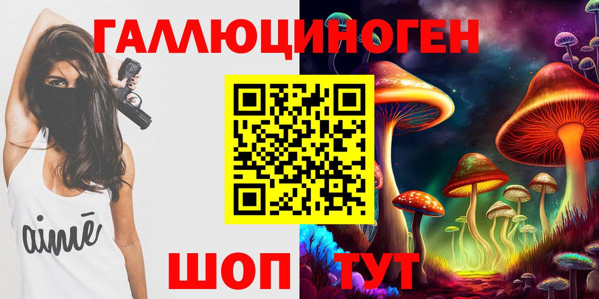 Псилоцибиновые грибы GOLDEN TEACHER  Вход с VPN  купить наркотик  Корсаков 